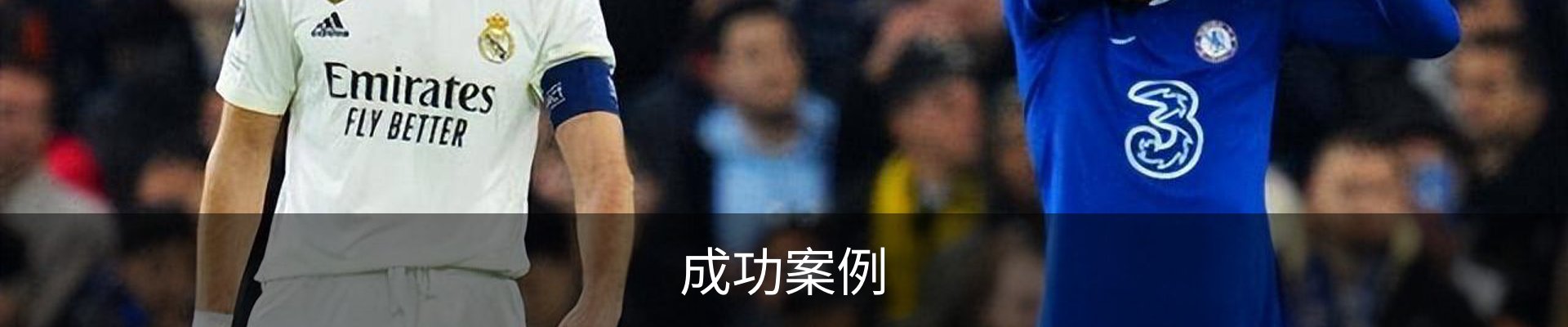成功案例